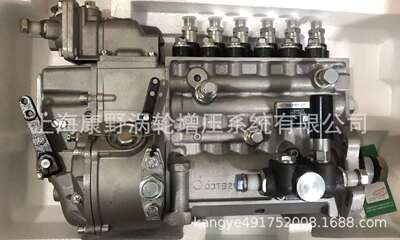 喷油泵 2207 MJ800-1111100-C27 2287和T9000-1111100-C27 2203