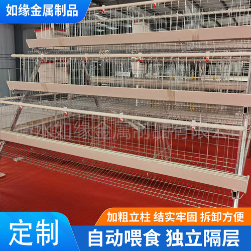定制三层四门蛋鸡笼养鸡场简易鸡笼子热镀锌多层鸡笼阶梯式蛋鸡笼