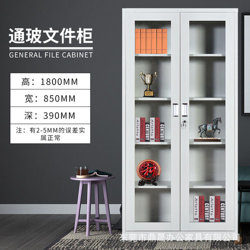 东莞通玻对开文件柜玻璃储物柜办公室钢制档案凭证柜铁皮资料矮柜