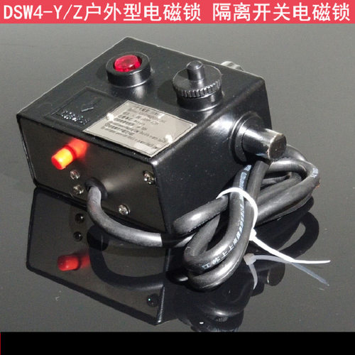 DSW4-Z(Y)户外电磁锁DSW1-II SW4-Y/Z J-D-Y-D 户外电磁锁 接地电