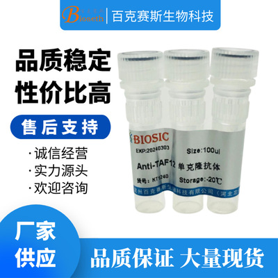 Anti-TAF12 Monoclonal antibody 实验用单克隆抗体