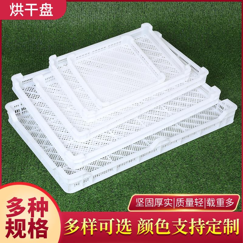 厂家货源烘干盘塑料网眼风干晾晒盘单冻器果蔬冷冻盘塑料托盘