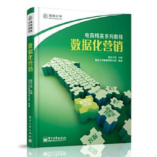 淘宝大学 主编 淘宝大学数据营销分院 正版 电子工业出版 数据化营销 编著 社 速发9787121155659