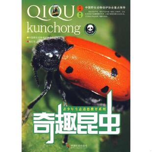 中国社会出版 正版 杨红珍主编 奇趣昆虫 社 速发9787508724126