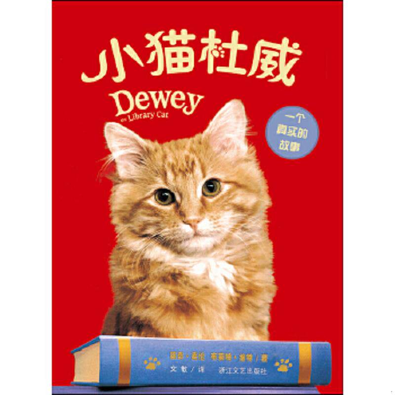 正版速发9787533931643 小猫杜威 薇奇?麦仑 浙江文艺出版社