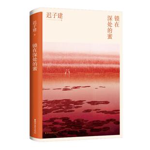 蜜 文学创作历程 去往极寒之地 茅盾文学奖得主迟子建散文精选集书评全面展现她 温暖之旅 锁在深处