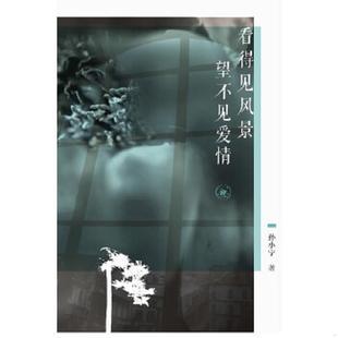 孙小宁著 看得见风景望不见爱情 生活.读书.新知三联书店 速发9787108043184 正版