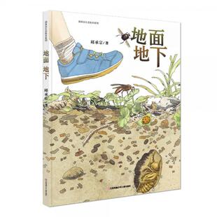 孩子手边靠谱 虫虫图记 现货 正版 高端塑封 中国原创丰子恺优秀童书奖生态绘本：地面地下 保正 邱承宗 速发9787558410567