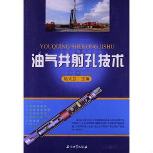 正版速发9787502190262 油气井射孔技术 陆大卫主编 石油工业出版社