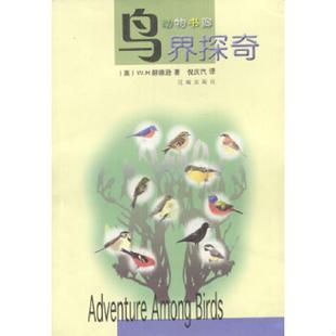 鸟界探奇 英 赫德逊著 正版 花城出版 9787536037427 倪庆饩译 社 老旧