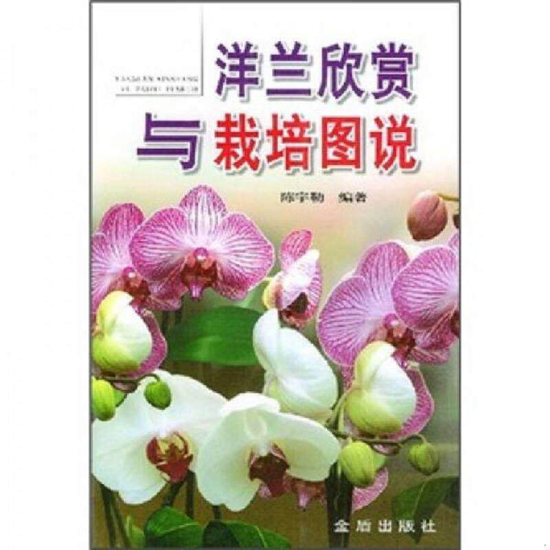 正版速发9787508228785 洋兰欣赏与栽培图说  陈宇勒著 金盾出版社 陈宇勒编著 金盾出版社