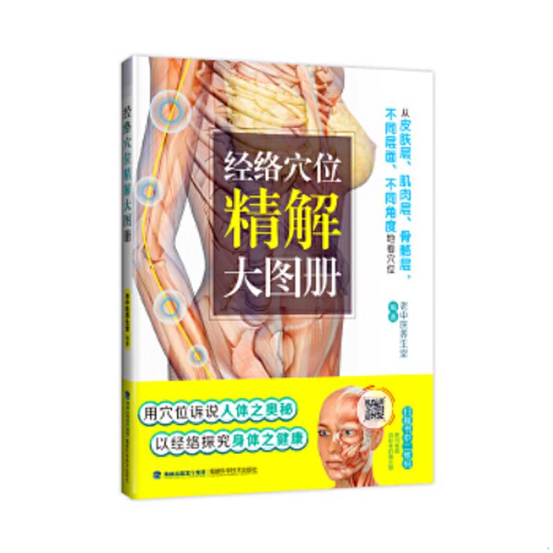 正版速发9787533552671 3D男性经络穴位高清标准图册人体穴位图解大全书 中医养生取穴找穴位图经络穴位按摩大全书人体经络全身十