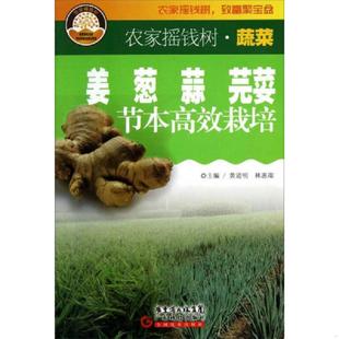 芫荽 速发9787535952301 葱 正版 节本高效栽培 广东科技 农家摇家树·蔬菜 9787535952301 现货 黄道 姜 农家摇钱树·蔬菜 蒜节