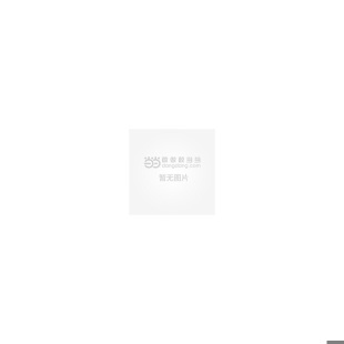 何景成 商周青铜器族氏铭文研究 齐鲁书社 速发9787533320614 正版