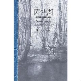 德 茵梦湖：斯托姆中短篇小说选 施托姆著 施种等译 社 正版 上海译文出版 速发9787532740130