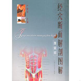 上海科学技术出版 正版 严振国主编 经穴断面解剖图解腹盆部 社 速发9787532359875