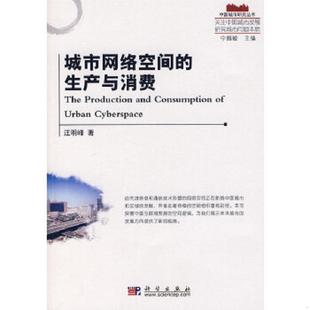 生产与消费 城市网络空间 汪明峰 著 社 正版 科学出版 速发9787030203649