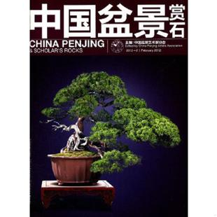 速发9787503864827 中国林业出版 中国盆景赏石 主编 社 中国盆景艺术家协会 正版