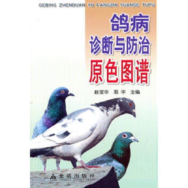 正版速发9787508268934 鸽病诊断与防治原色图谱 赵宝华 金盾出版社
