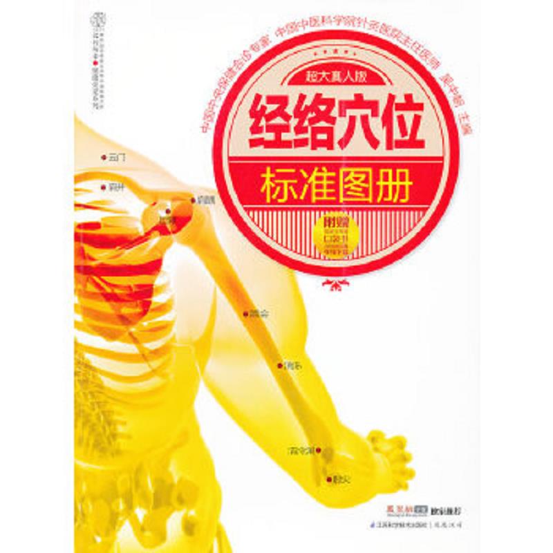 正版速发9787553703312 经络穴位标准图册 吴中朝编 江苏科学技术出版社