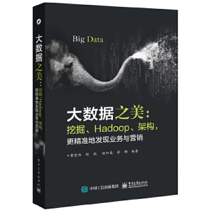 Hadoop 架构 更精准地发现业务与营销 正版 电子工业出版 大数据之美：挖掘 黄宏程等编著 社 速发9787121293443