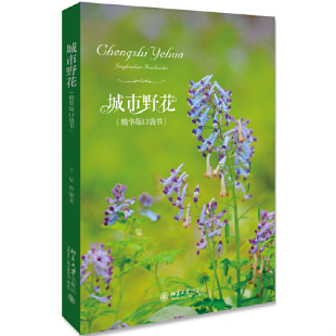 城市野花 精华版 口袋书 正版 北京大学出版 现货 王辰 社 速发9787301304778