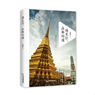 在佛 遇见你 国 汤向阳 社 正版 中国书籍出版 速发9787506849364