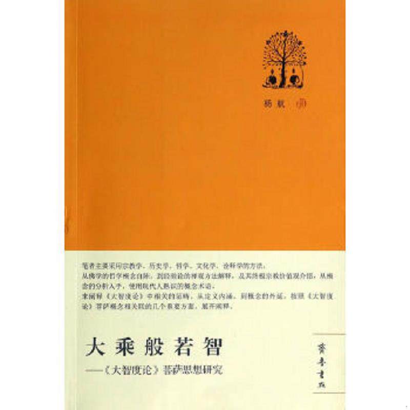 正版速发9787533331375 大乘般若智：《大智度论》菩萨思想研究 杨航 齐鲁书社