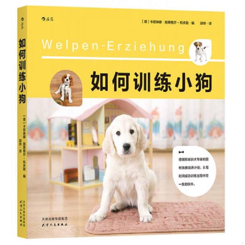 正版速发9787201111308 狗狗的益智游戏 儿童狗狗互动游戏书 养狗的书 养狗书籍教程 宠物犬金毛美容医生医疗疾病 与狗狗对话技巧