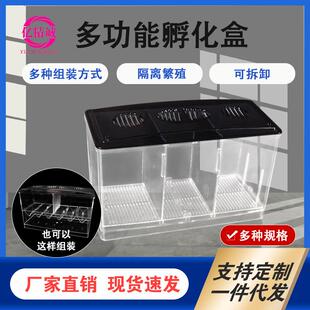 斗鱼隔离盒 亚克力独立繁殖盒多功能观赏鱼缸外饲养孔雀鱼孵化盒