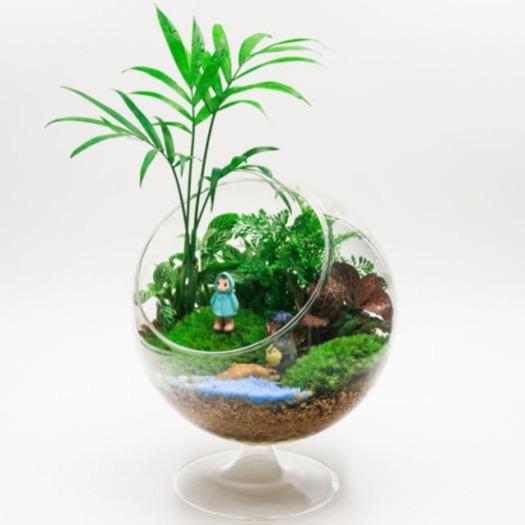 厂家微景观苔藓生态瓶斜口瓶多肉DIY生态瓶透明圆形玻璃花瓶