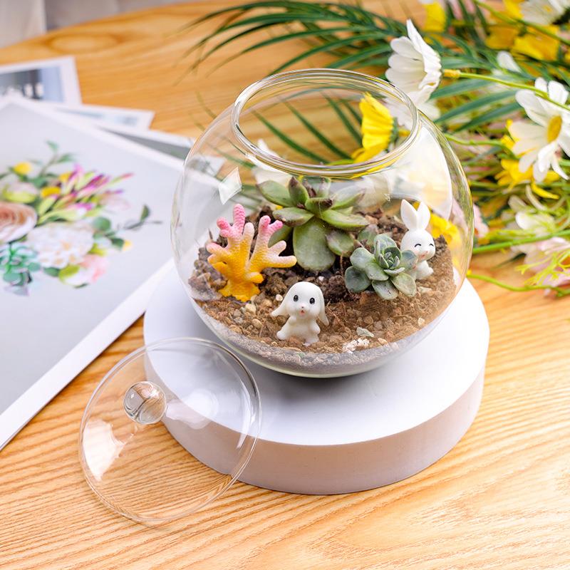 厂家 时尚创意苔藓生态瓶微景观玻璃苔藓罐微景观 手工绿植