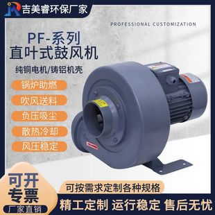 吸送废纸中压鼓风机 直叶式 0.4kw循环干燥输送中压风机 PF100