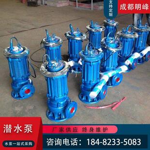 污水泵220v抽粪家用化粪池排污泵带铰刀潜水泵泥浆抽水机 AS切割式