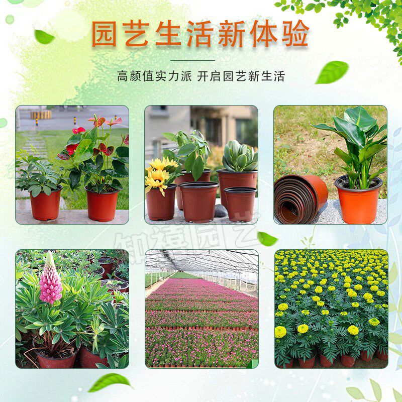 加厚双色盆育苗盆多肉种植盆一次性花盆大号营养钵育苗杯塑料花盆