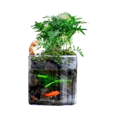 工位小鱼缸生态斗鱼缸免换水过滤生态循环古法免插电生态造景鱼缸