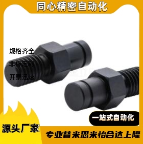 悬臂销 LXAA/PLXAA/SLXAA10/12/13/15/16/17/18/20/22/25/30-Y60-