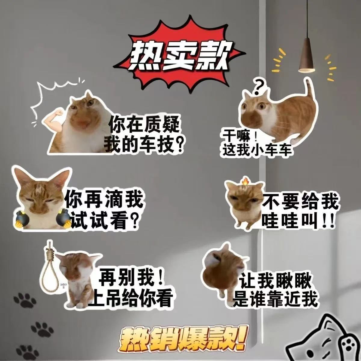 抽象鱼烧meme猫咪创意装饰汽车贴
