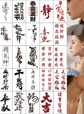 中文防水持久遮疤纹身贴纸套装