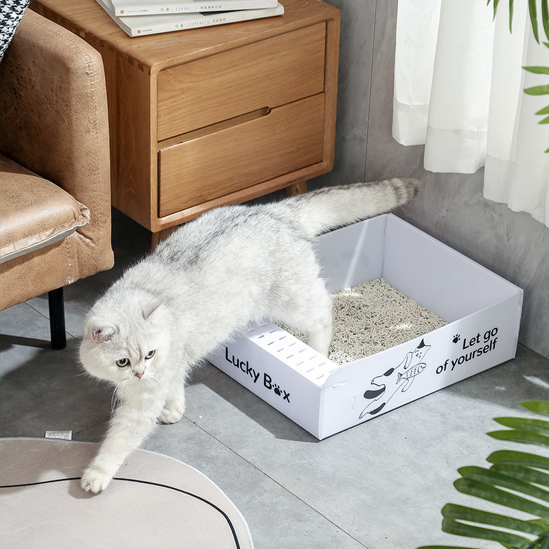 一次性猫砂盆月抛开放式免洗猫屎盆式猫厕所防外溅车载猫便盆