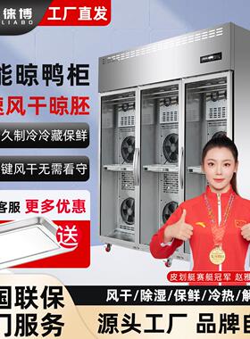 睿徕博智能晾鸭柜商用烧鹅乳鸽烘干机解冻烤鸭风干保鲜除湿晾胚柜