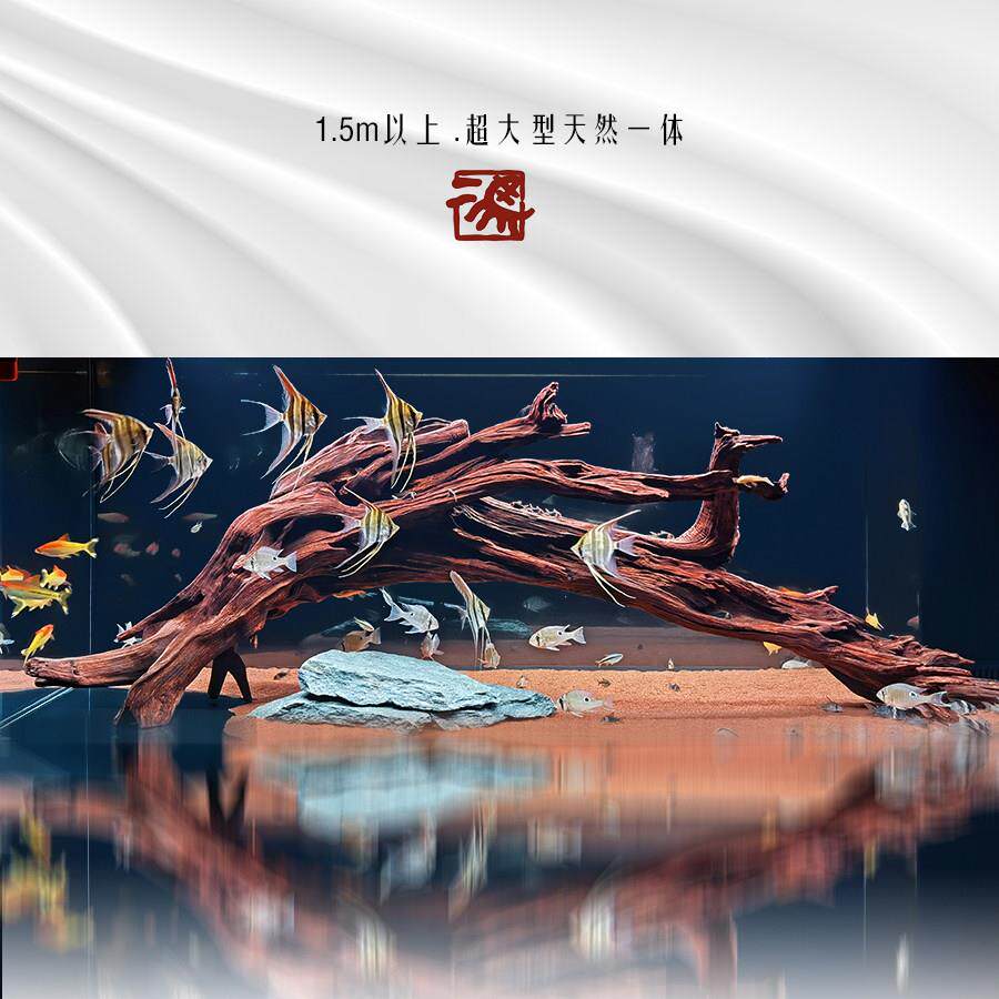 二马1.5m以上大号沉木超大型精品鱼缸造景木南美缸装饰拱桥型免煮