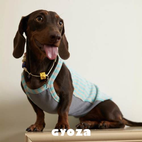 GYOZA夏季多巴胺小狗吊带条纹背心 可爱宠物衣服法斗短腿狗腊肠犬