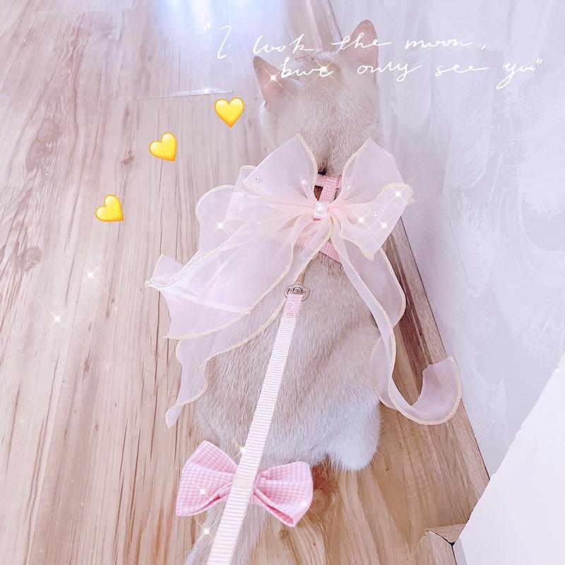 厂家直供宠物遛猫绳仙女网纱蝴蝶结猫胸背带防挣脱猫咪狗狗牵引绳