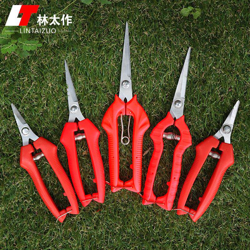 林太作摘果剪不锈钢稀果剪葡萄花椒采摘剪园艺修枝芽采茶工具剪刀