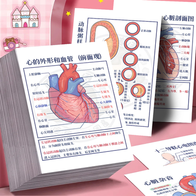 医学生笔记贴纸系统解剖学人体心血管系统血液循环知识科普创意贴