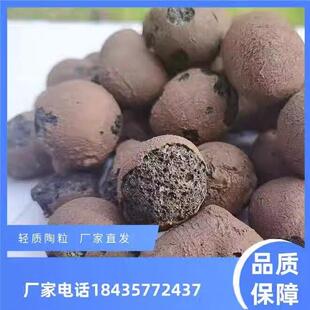 湖北建筑轻质环保粘土陶粒回填化妆室垫底下沉式厕所填充颗粒