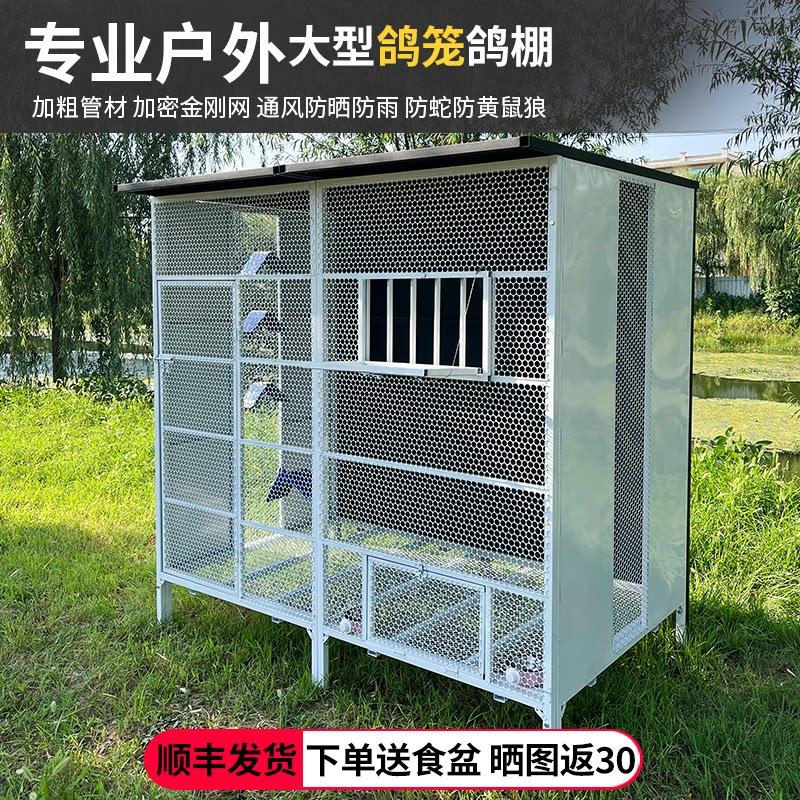 鸽子笼鸽舍鸽棚大号家用鸽笼大型鸟笼鹦鹉笼特大养殖繁殖专用笼子