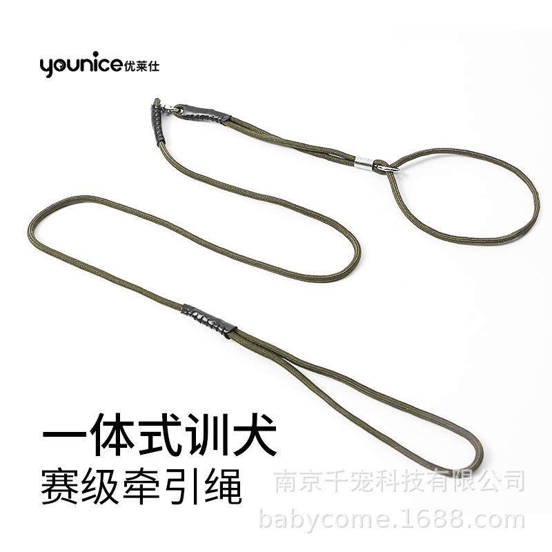优莱仕狗狗牵引绳赛级专业细p绳p链小型犬幼犬泰迪比熊训犬项圈