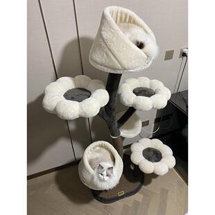 catry凯瑞猫爬架花朵爬架中型大型猫跳台猫窝一体剑麻磨爪猫抓柱